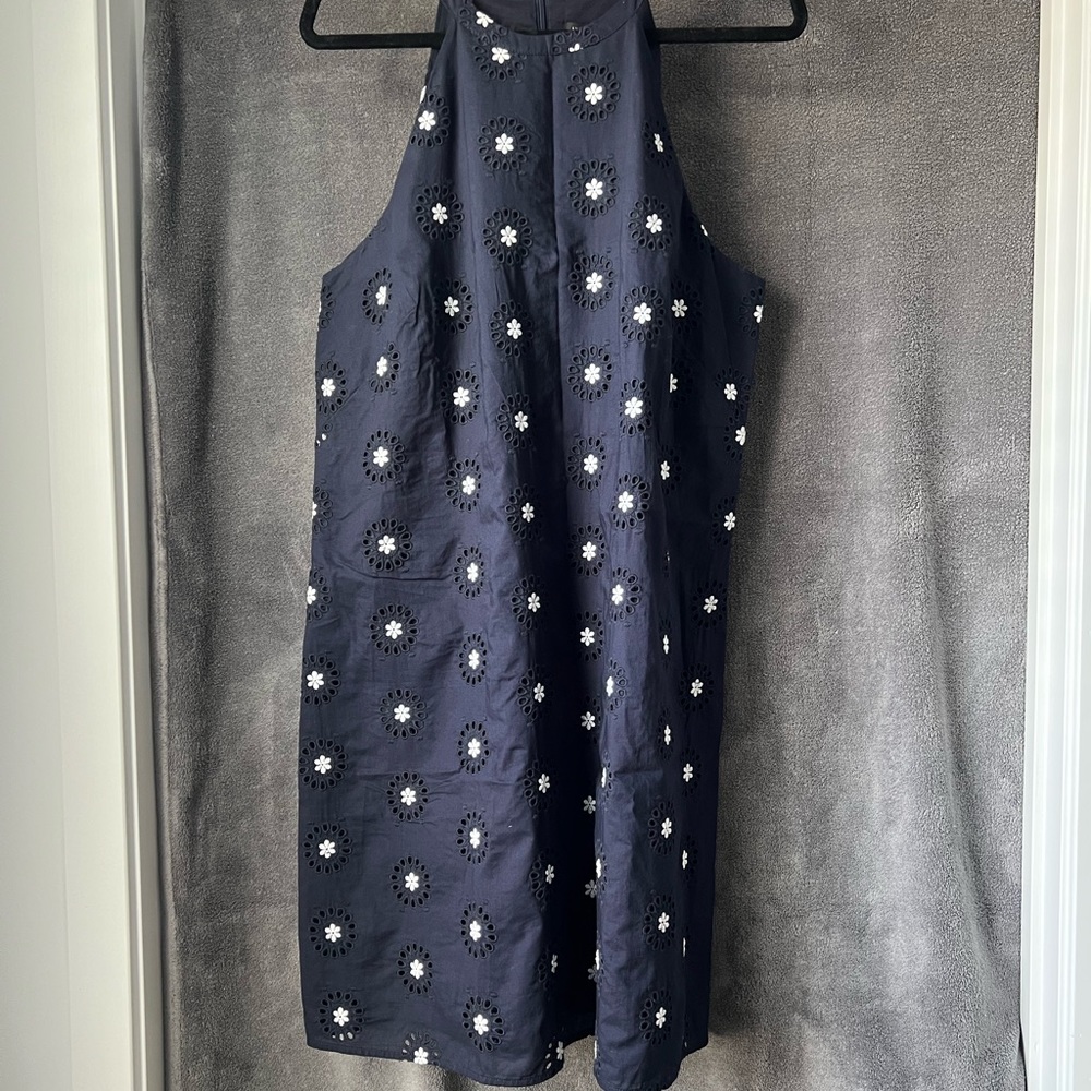 Ann Taylor Dress, Eyelet Flower Embroidery, Sz 16